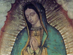 Guadalupe_240x180